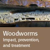 Woodworms: impact, prevention, treatment.